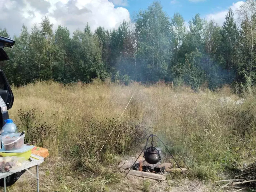 Участок в Ханты-Мансийский АО, Сургутского муниципального района тер., ... - Фото 1