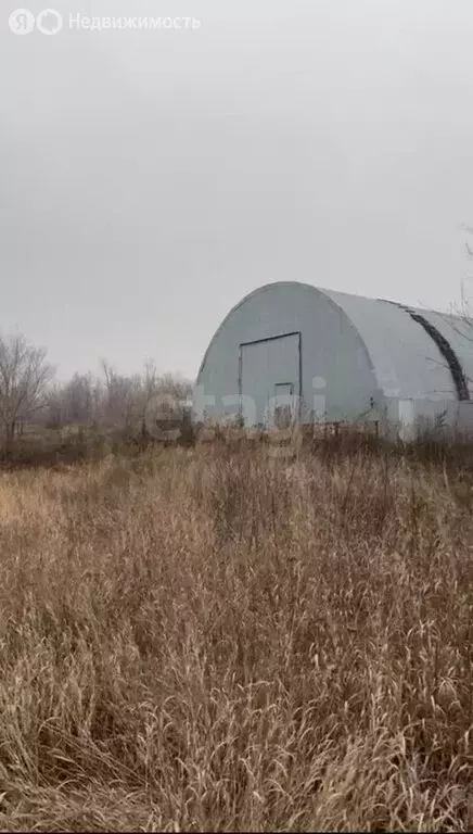 Участок в Усть-Курдюм, Новая улица, 29 (15 м) - Фото 1