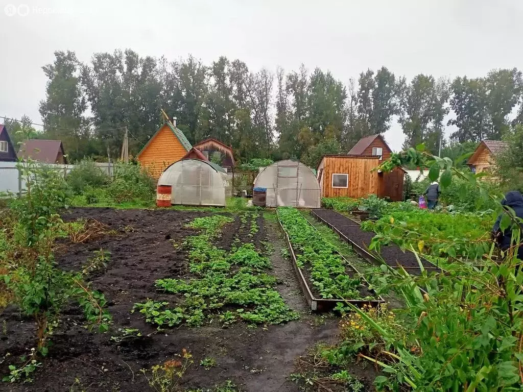 Дом в посёлок Металлургов, садовое некоммерческое товарищество ... - Фото 2