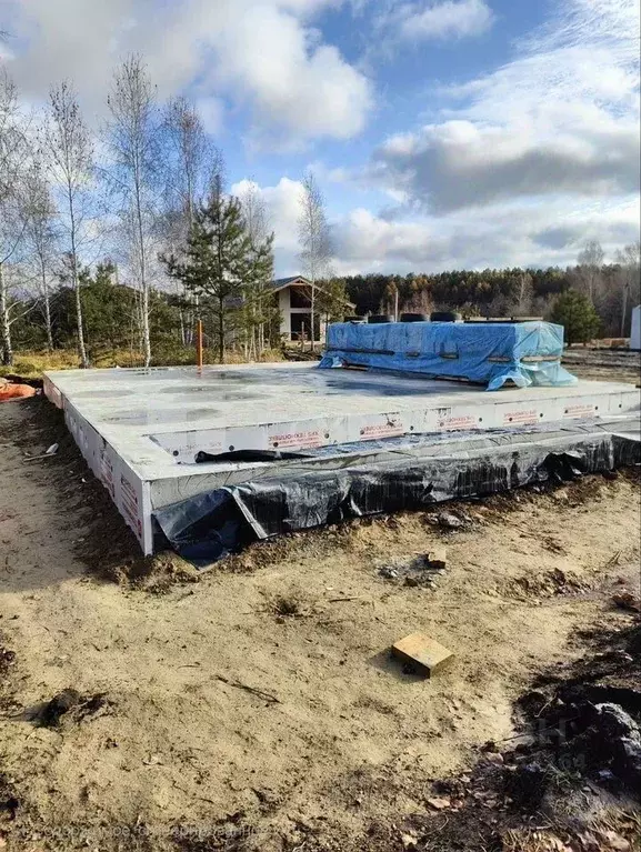 Участок в Новосибирская область, Новосибирский район, Морской ... - Фото 1