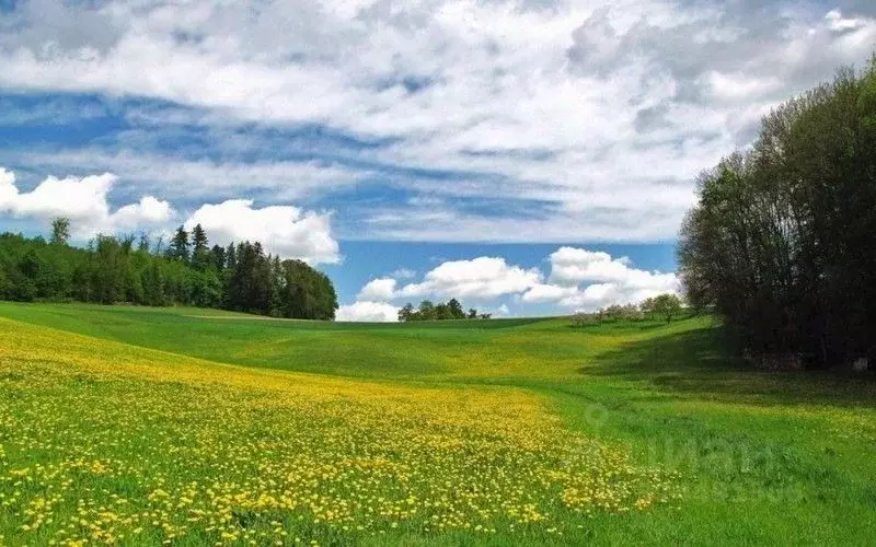 Участок в Костромская область, Красносельский район, Шолоховское ... - Фото 0