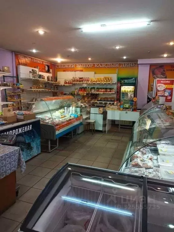 Помещение свободного назначения в Кемеровская область, Новокузнецк ул. ... - Фото 1