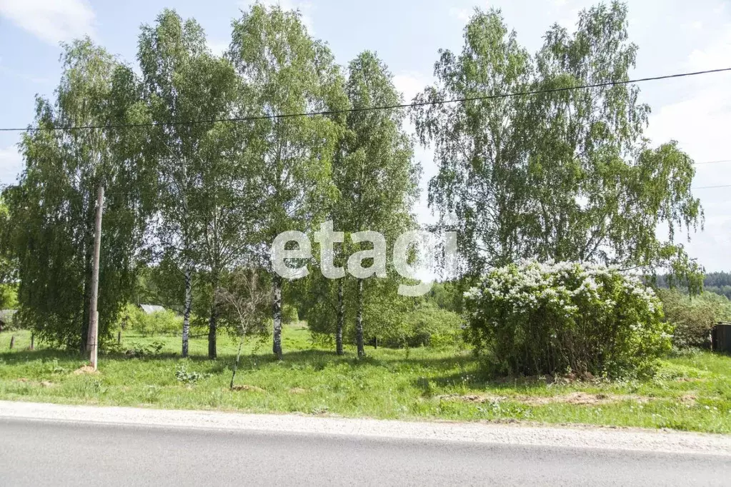 Участок в Владимирская область, Меленковский муниципальный округ, д. ... - Фото 1