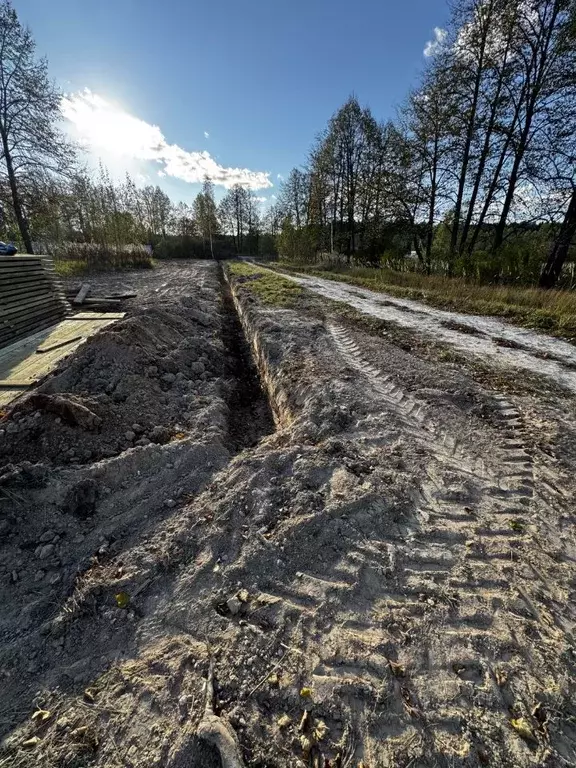 Участок в Московская область, Клин городской округ, д. Микляево ул. ... - Фото 1