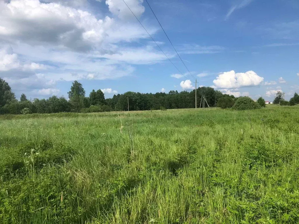 Участок в Ленинградская область, Кингисеппский район, Опольевское ... - Фото 2