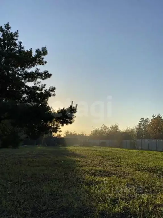 Участок в Воронежская область, Рамонский район, Новоживотинновское ... - Фото 0