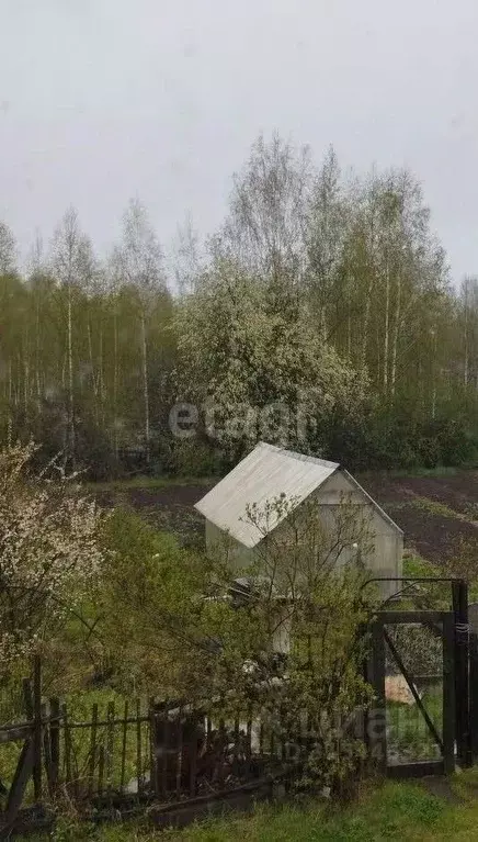 Участок в Свердловская область, Нижний Тагил Роща СНТ, ул. 6-я, 270 ... - Фото 0