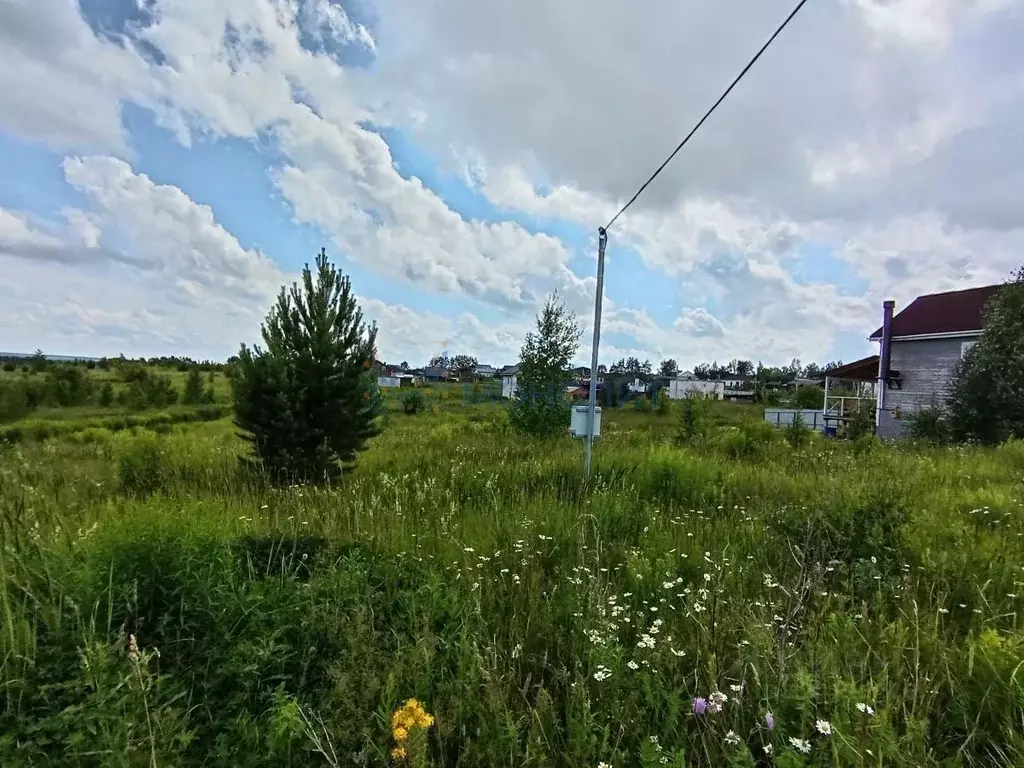 Участок в Нижегородская область, Богородский муниципальный округ, с. ... - Фото 2