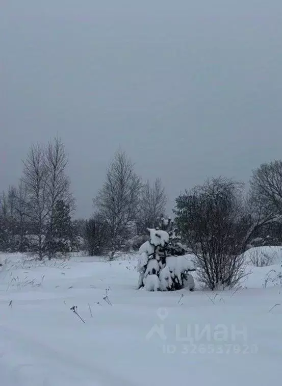 Участок в Московская область, Павлово-Посадский городской округ, д. ... - Фото 1