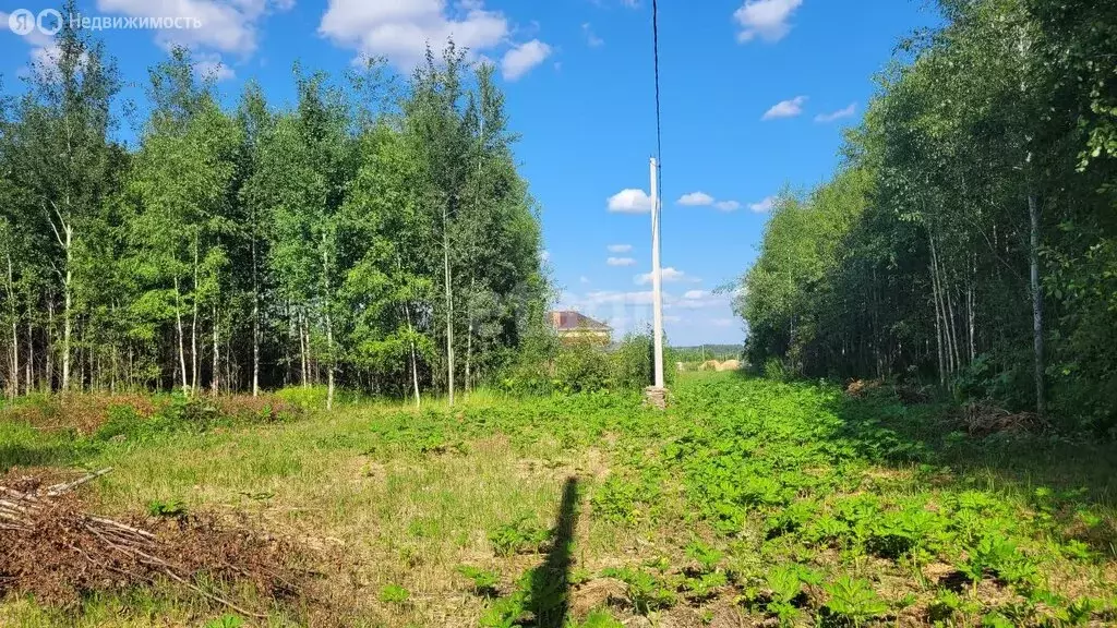 Участок в Республика Марий Эл, городской округ Йошкар-Ола, деревня ... - Фото 1