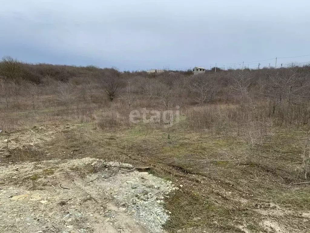 Участок в Краснодарский край, Новороссийск муниципальное образование, ... - Фото 1