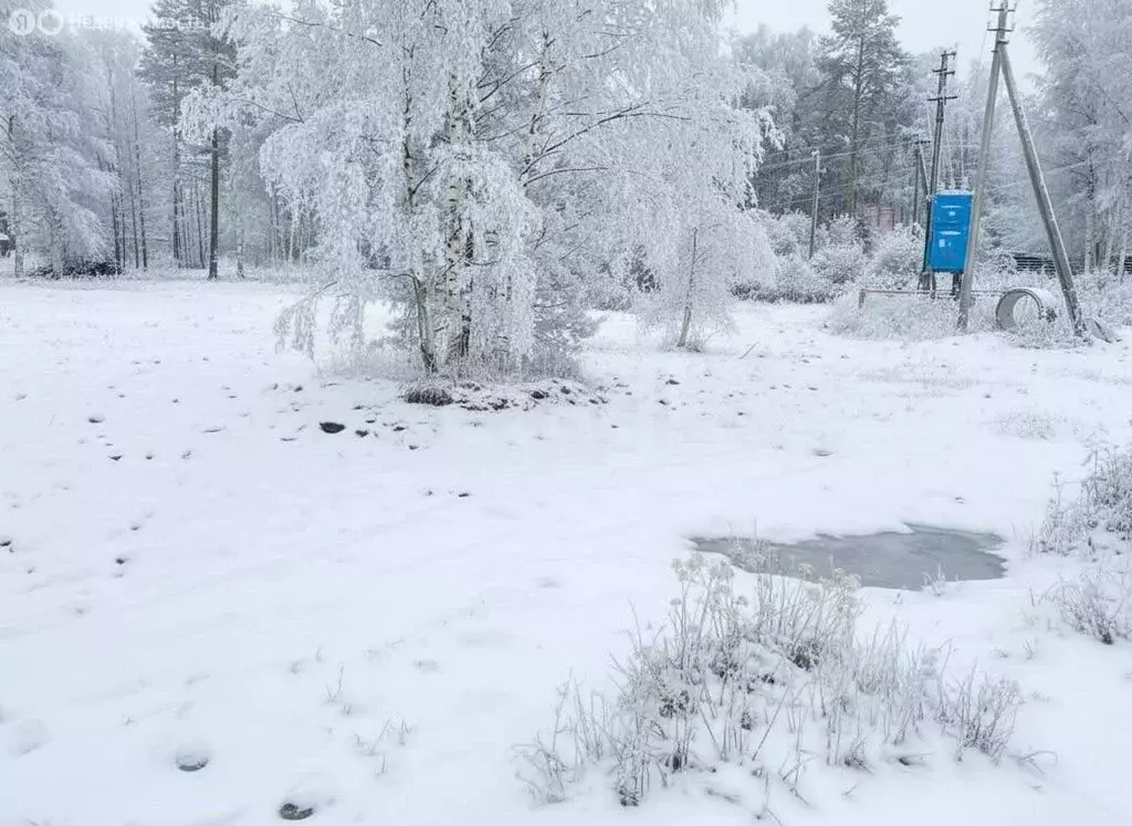 Участок в Громовское сельское поселение, посёлок Приладожское, Гусиная ... - Фото 2