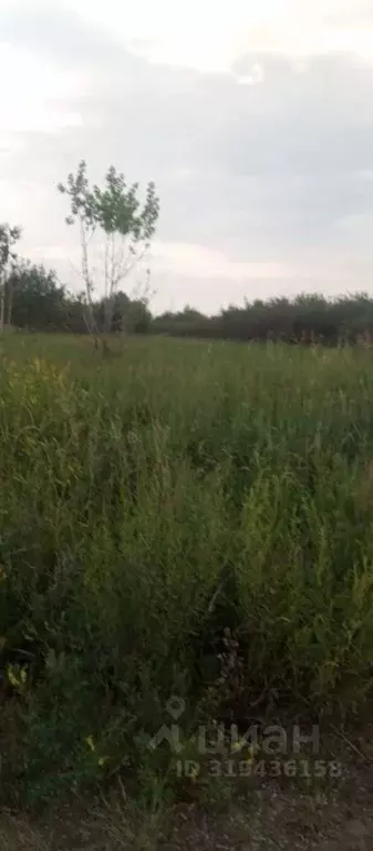 Участок в Челябинская область, Копейск Шахтер СНТ,  (8.0 сот.) - Фото 1