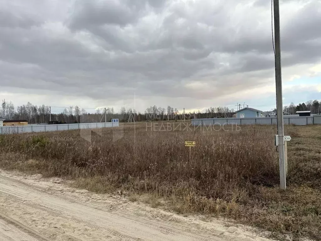 Участок в Тюменская область, Тюменский муниципальный округ, д. Якуши ... - Фото 2