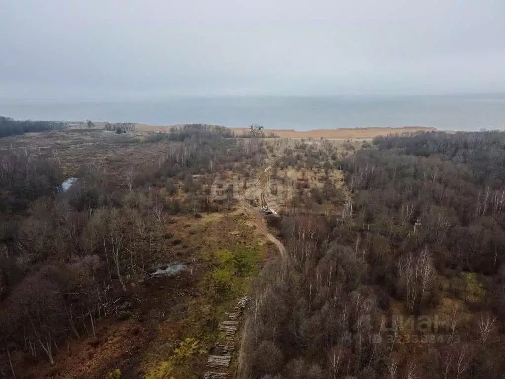 Участок в Калининградская область, Ладушкин  (7.51 сот.) - Фото 2