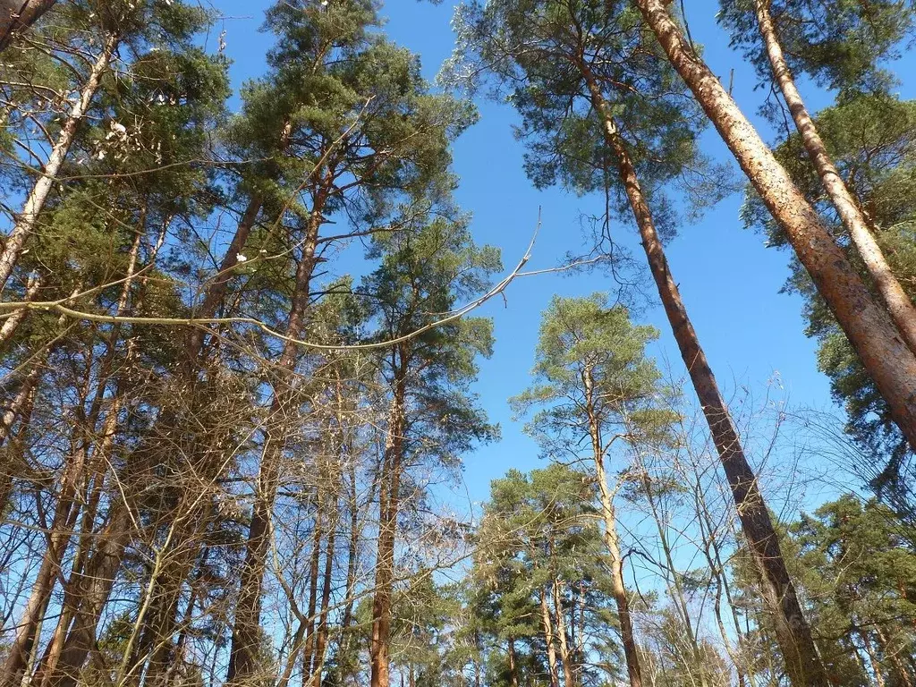 Коттедж в Московская область, Одинцовский городской округ, с. Луцино, ... - Фото 1