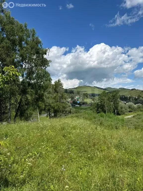 Участок в Алтайский район, село Нижнекаянча (20 м) - Фото 0