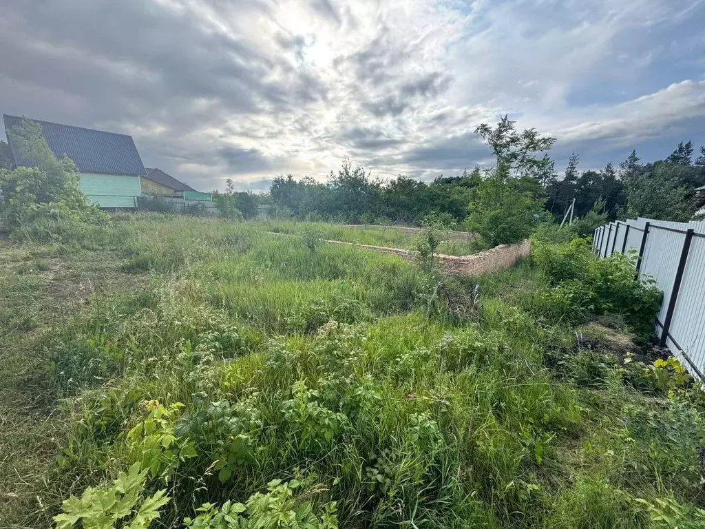 Участок в Белгородская область, Яковлевский муниципальный округ, ... - Фото 1