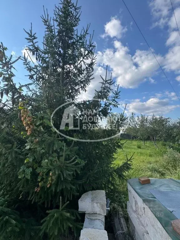 Дом в Пермский край, Чайковский городской округ, д. Кирилловка  (42 м) - Фото 1