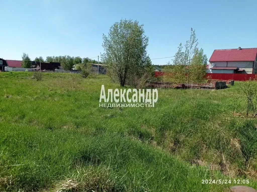 Участок в Ленинградская область, Приозерский район, Ромашкинское ... - Фото 1