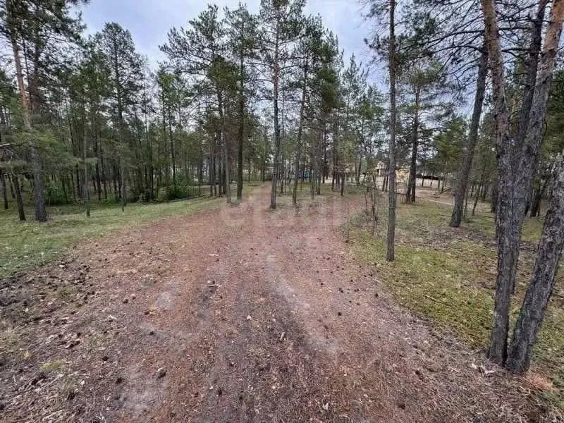 Участок в Саха (Якутия), Мегино-Кангаласский улус, Нижний Бестях пгт  ... - Фото 2