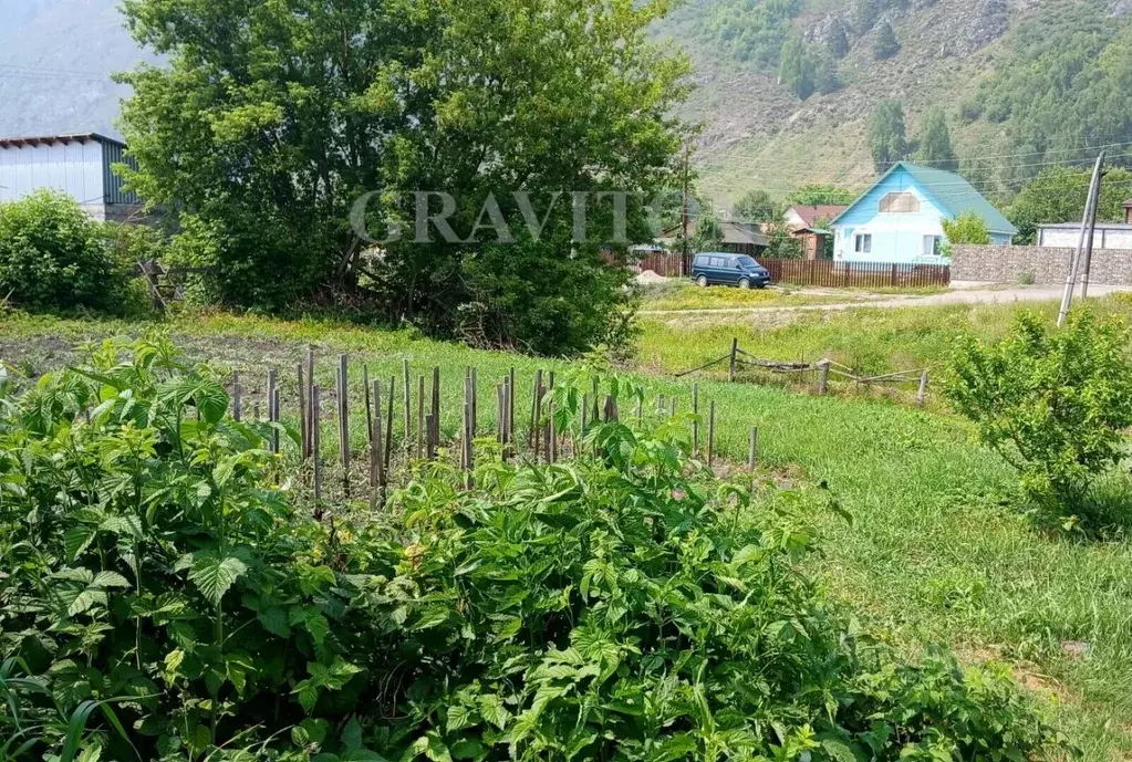 Дом в Алтай, Майминский район Р-256 Чуйский тракт, 472-й км (38 м) - Фото 2