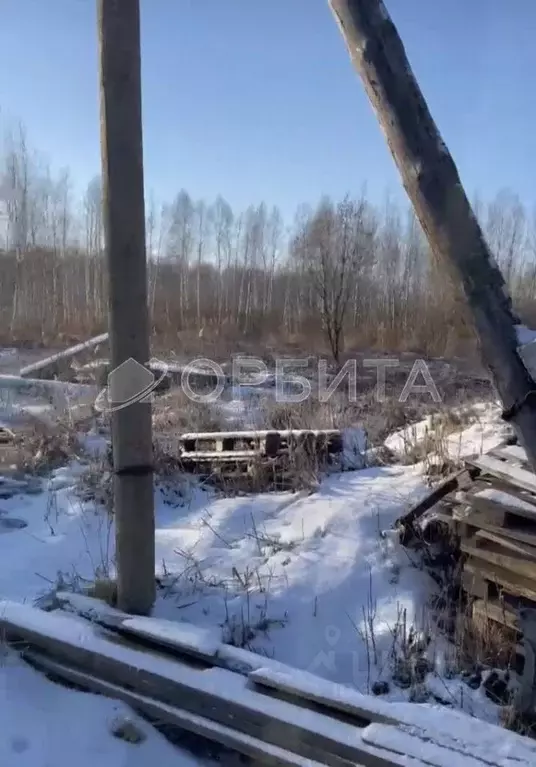 Участок в Тюменская область, Нижнетавдинский район, Сочинские СНТ 7-я ... - Фото 1