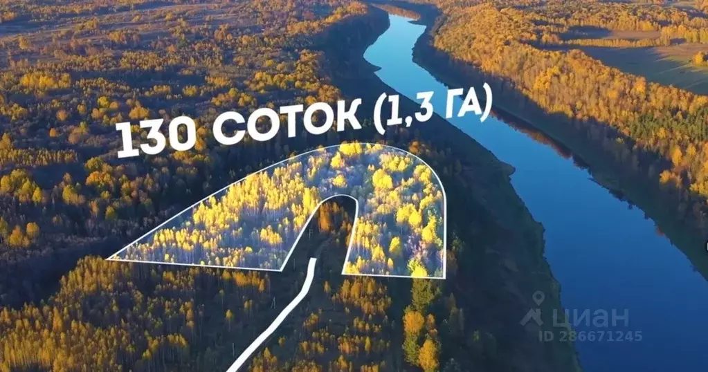 Участок в Тверская область, Старицкий муниципальный округ, д. ... - Фото 1