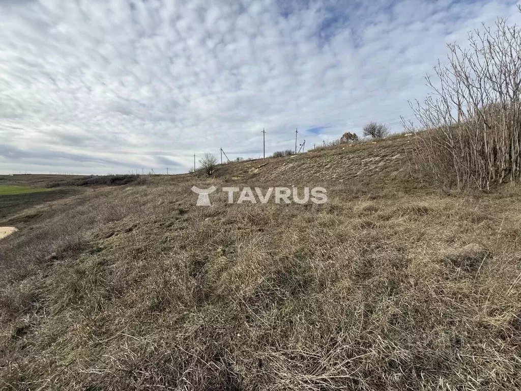 Участок в Крым, Симферопольский район, с. Трудовое  (8.0 сот.) - Фото 2