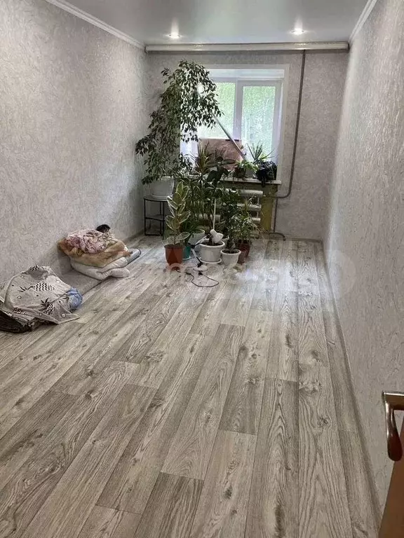 2-к. квартира, 44,7 м, 4/5 эт. - Фото 0
