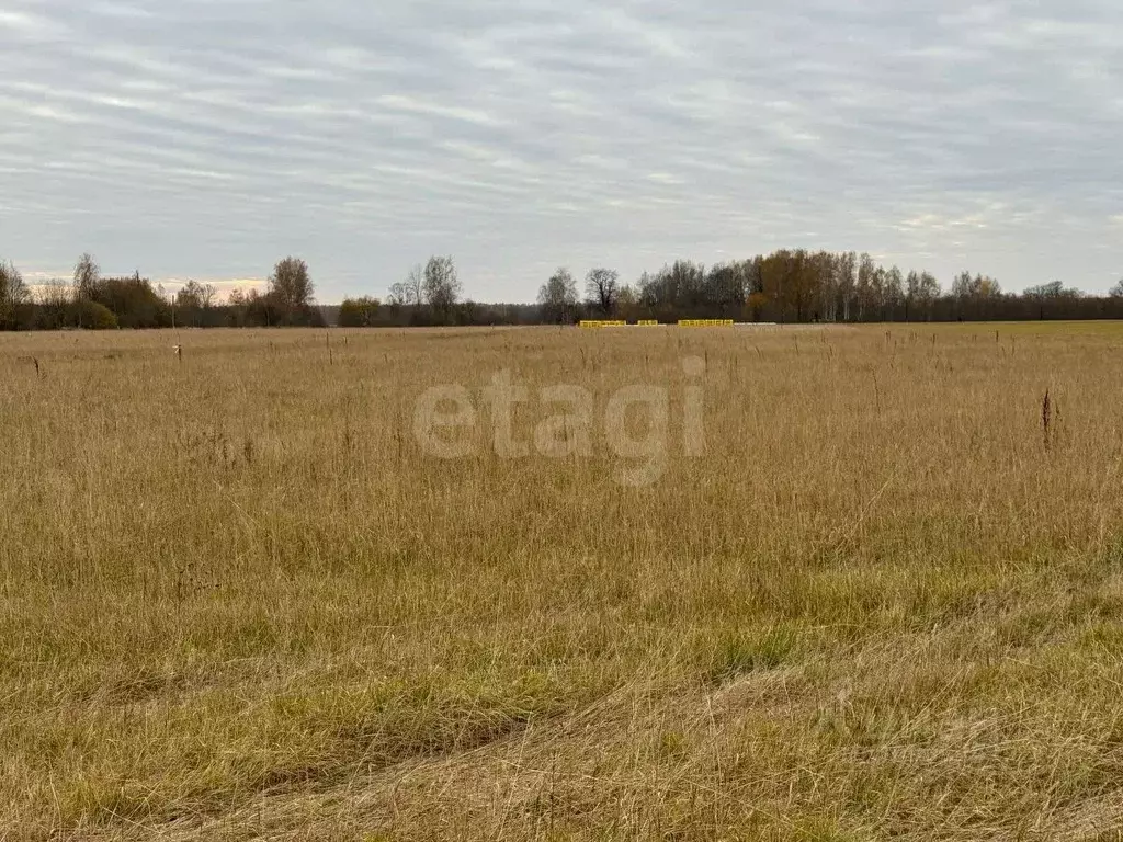 Участок в Костромская область, Красносельский район, Шолоховское ... - Фото 1