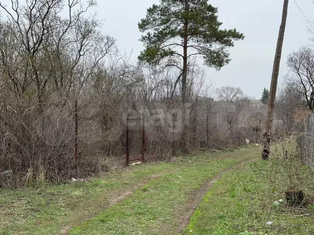 Участок 8 сот. (ИЖС) - Фото 1