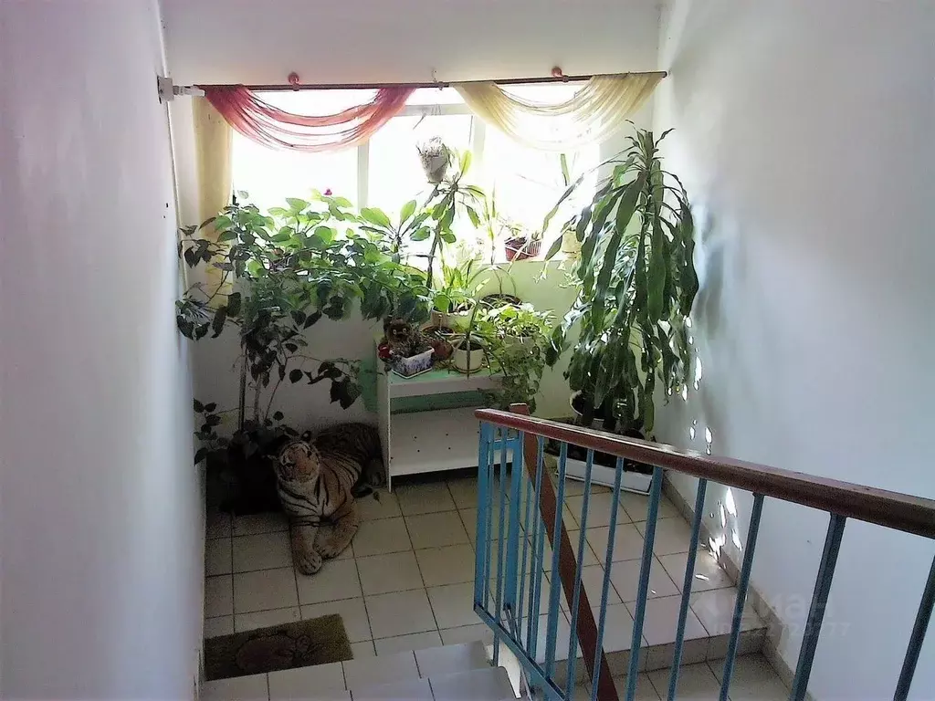 1-к кв. Адыгея, Теучежский район, Тлюстенхабльское городское ... - Фото 2