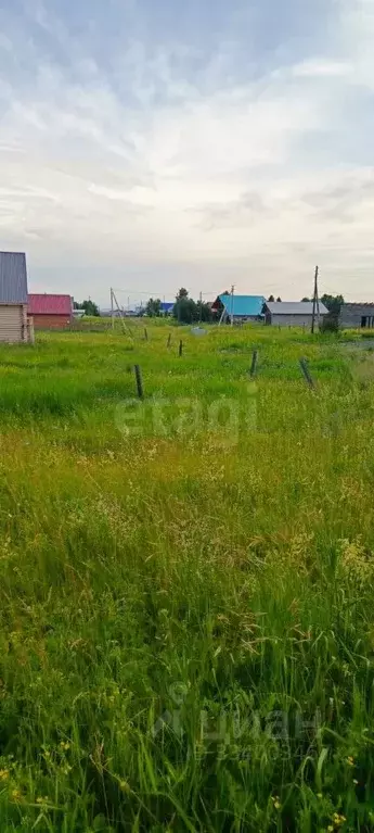 Участок в Алтайский край, Советский район, с. Платово Молодежная ул. ... - Фото 1