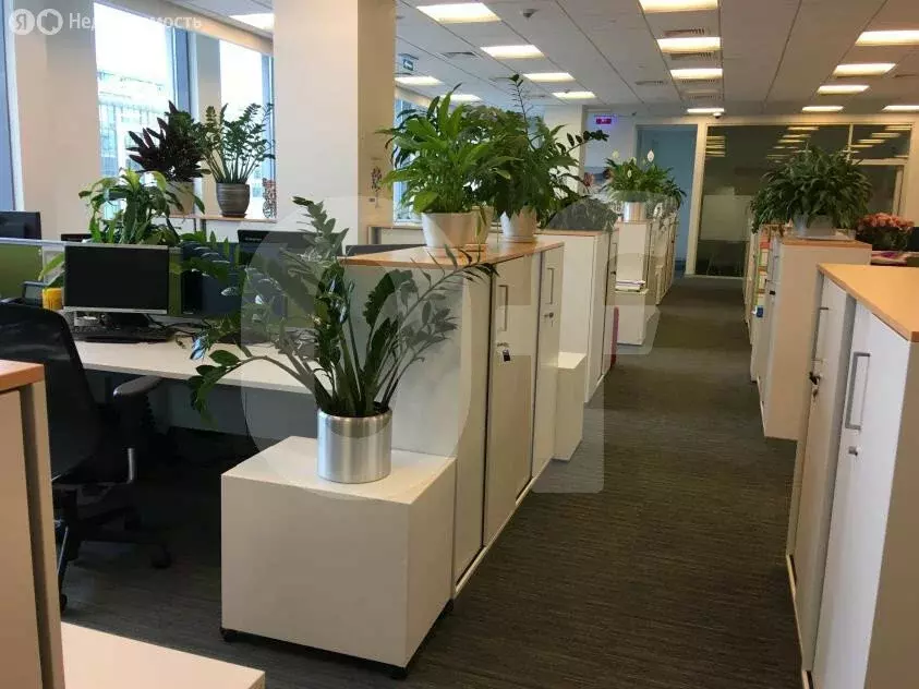 Офис (4423 м) - Фото 2