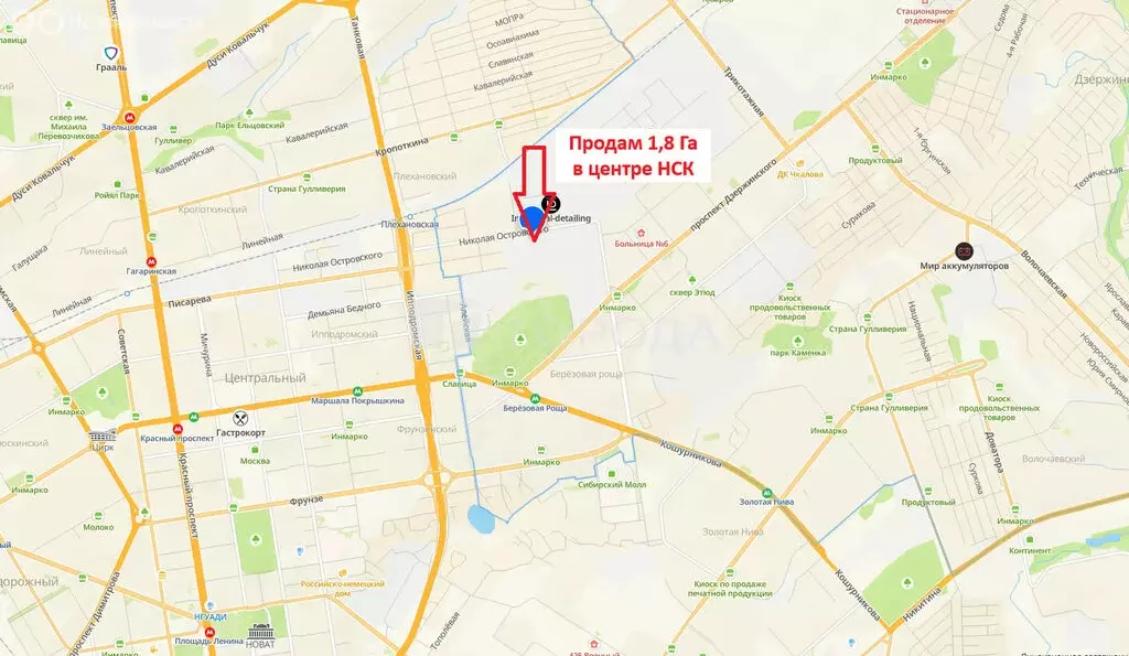 Участок в Новосибирск, улица Николая Островского (18256 м) - Фото 2