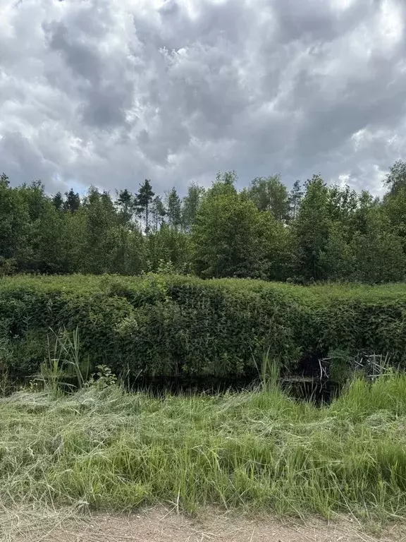 Участок в Новгородская область, Валдай Лесхозная ул. (15.0 сот.) - Фото 1