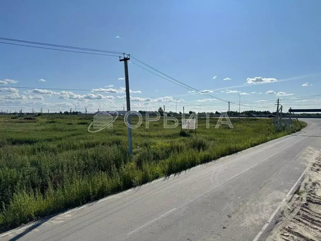 Участок в Тюменская область, Тюмень Казарово мкр, ул. Казаровская (6.2 ... - Фото 1