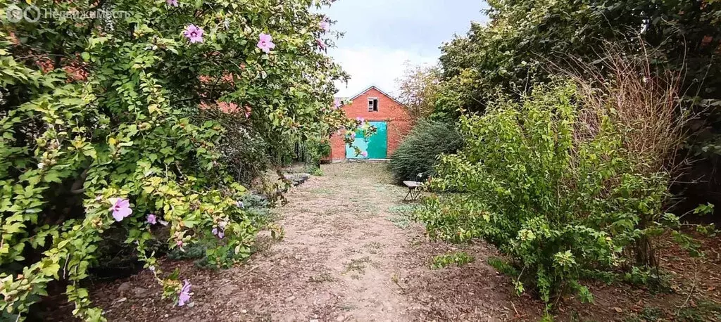 Дом в Холмская, Каштановая улица (250 м) - Фото 0