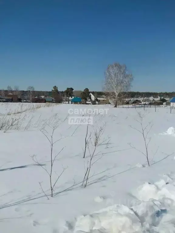 Участок в Алтайский край, Барнаул городской округ, пос. Мохнатушка ул. ... - Фото 1