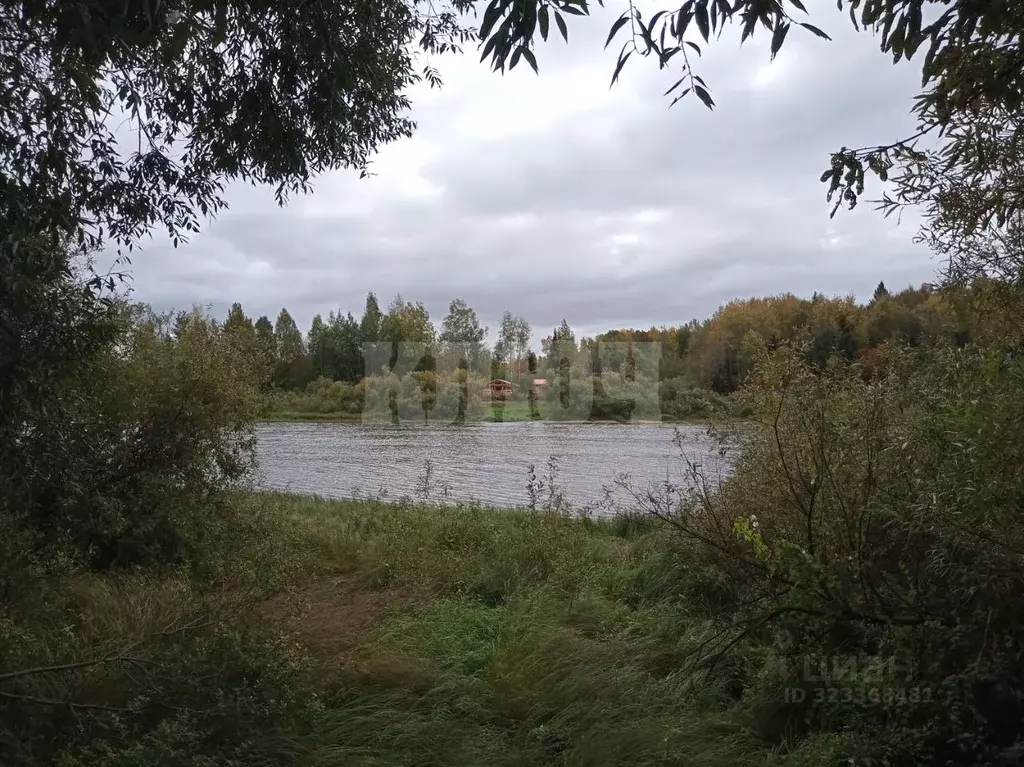 Участок в Вологодская область, Усть-Кубинский муниципальный округ, д. ... - Фото 1