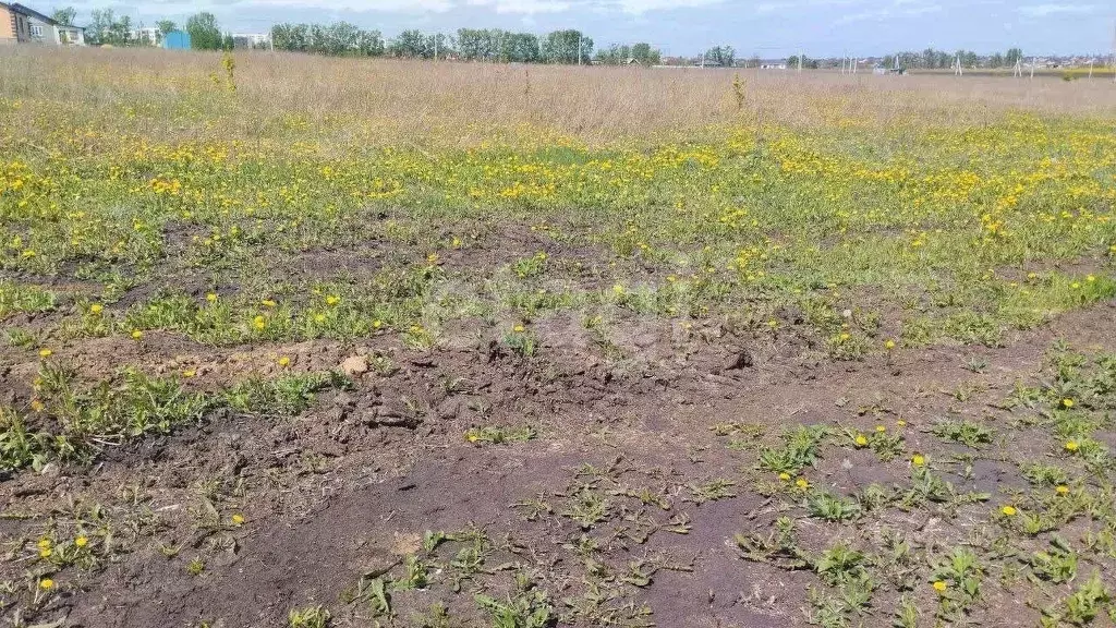 Участок в Белгородская область, Корочанский муниципальный округ, ... - Фото 1