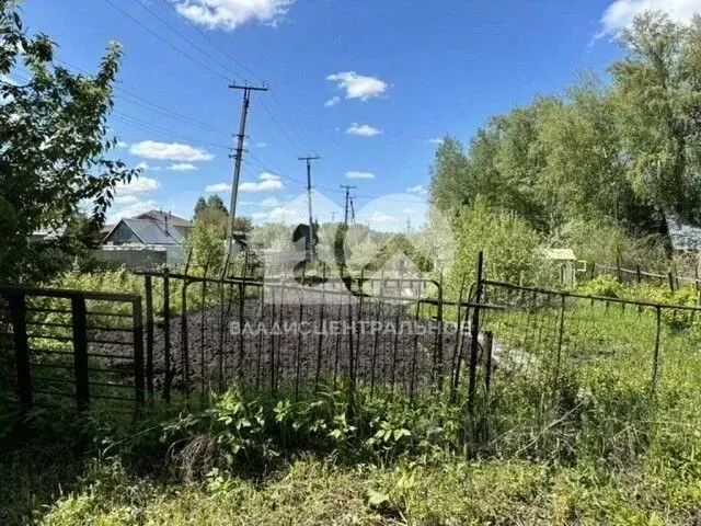 Участок в Новосибирская область, Новосибирск Золотая осень садовое ... - Фото 2