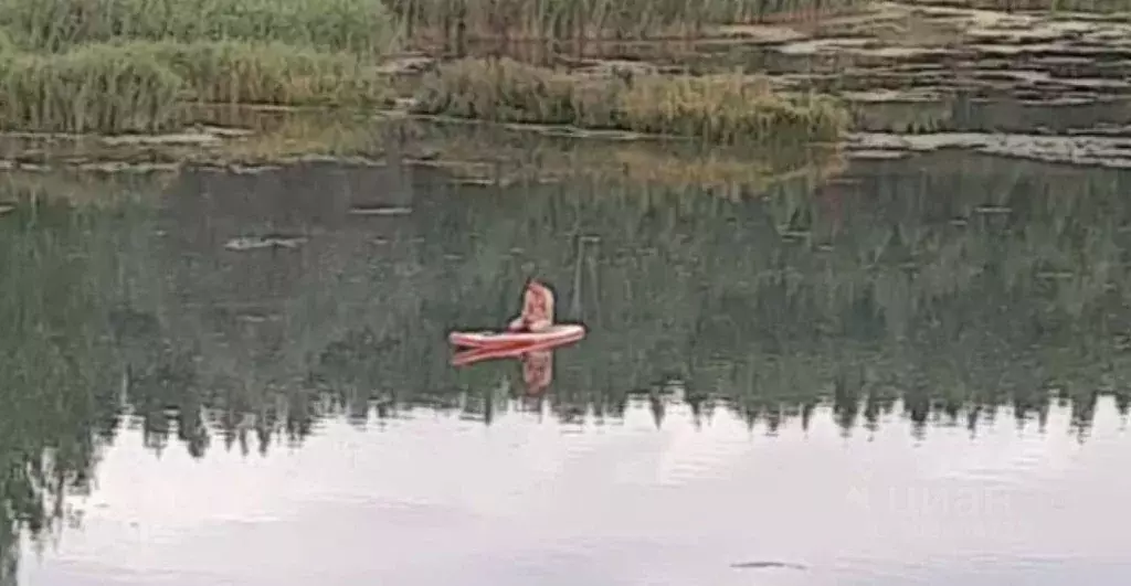 Участок в Воронежская область, Острогожский район, Ольшанское с/пос, ... - Фото 1