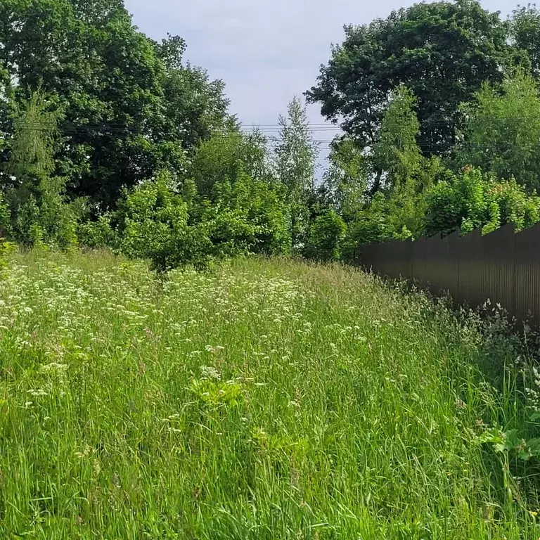 Участок в Московская область, Пушкинский городской округ, д. Нагорное ... - Фото 2