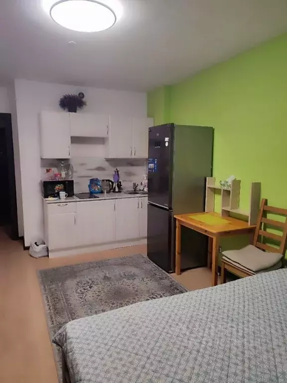 Студия Санкт-Петербург просп. Энергетиков, 9к3 (30.0 м) - Фото 2