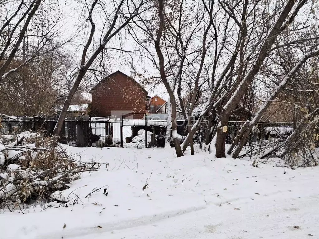 Участок в Новосибирская область, Новосибирск Сад НЭТИ садовое ... - Фото 1