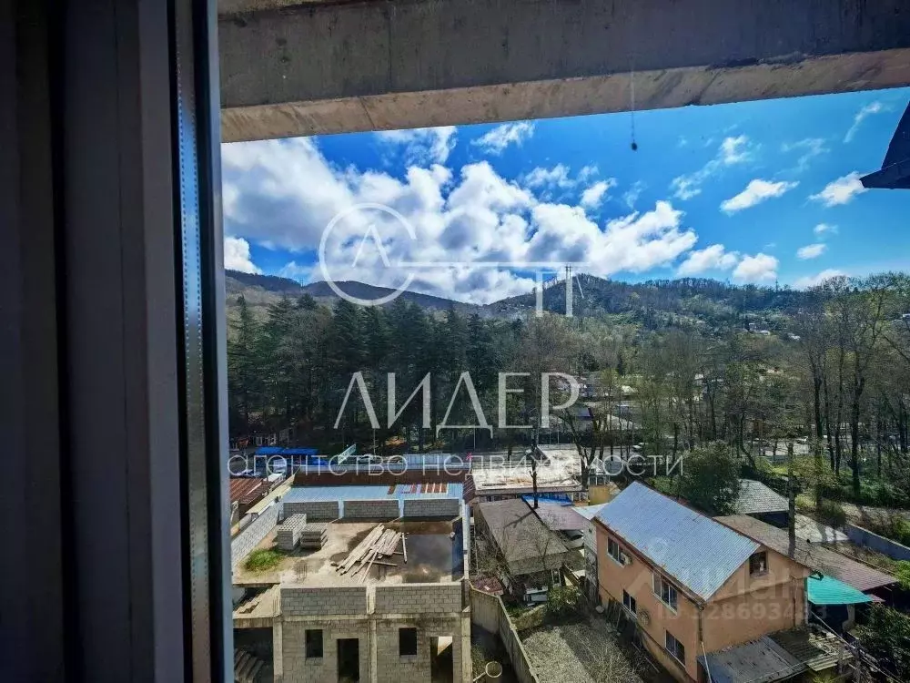 3-к кв. Краснодарский край, Сочи ул. Чекменева, 11/4 (50.9 м) - Фото 1