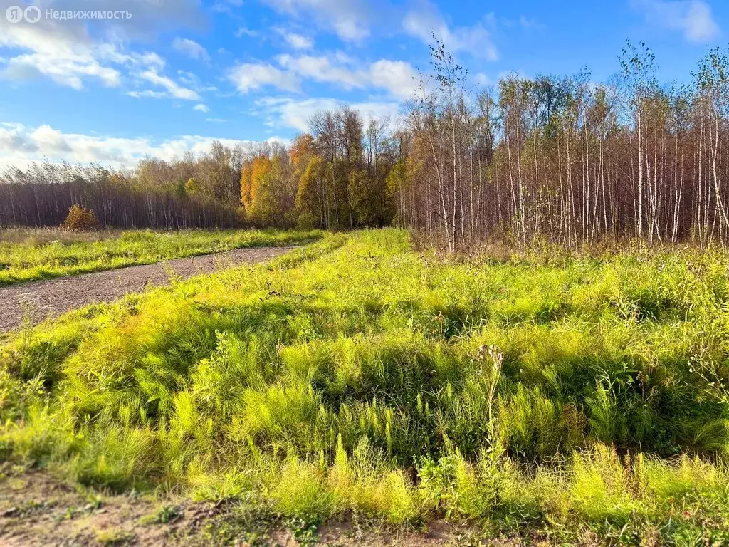 Участок в Московская область, городской округ Клин, КП Коськово (7.8 ... - Фото 1