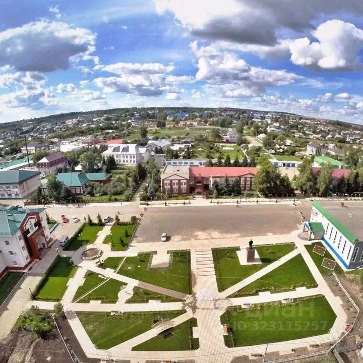 Участок в Татарстан, с. Пестрецы ул. Мешинская (17.0 сот.) - Фото 1